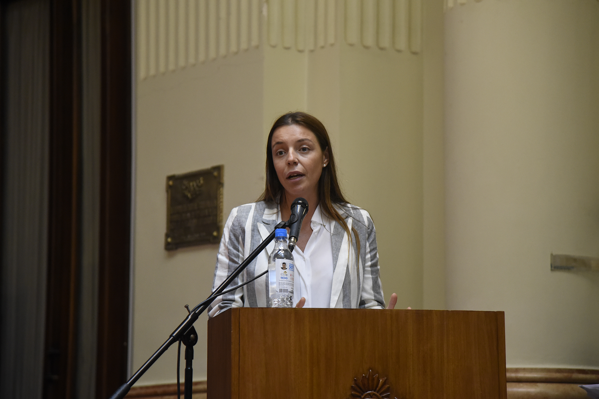 Galeria de imagenes de la noticia DERRIBANDO BARRERAS: EMOTIVO HOMENAJE A ATLETAS DEL DESAFÍO SUMMIT ACONCAGUA 2018